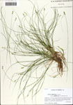 000063867-thumbnail.jpg