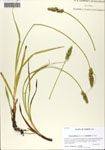 000063875-thumbnail.jpg