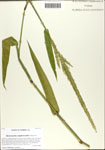 000063941-thumbnail.jpg