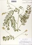 000063957-thumbnail.jpg