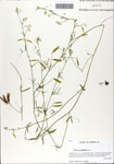 000063977-thumbnail.jpg