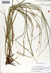 000064002-thumbnail.jpg