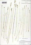 000064025-thumbnail.jpg