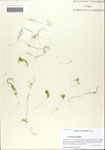 000064049-thumbnail.jpg