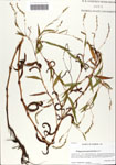 000064067-thumbnail.jpg