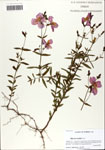 000064095-thumbnail.jpg