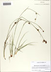 000064107-thumbnail.jpg
