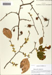 000064116-thumbnail.jpg
