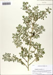 000064134-thumbnail.jpg