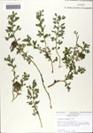000064152-thumbnail.jpg