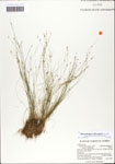 000064168-thumbnail.jpg
