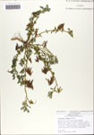 000064169-thumbnail.jpg
