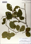 000064171-thumbnail.jpg