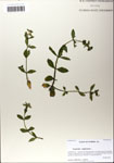 000064173-thumbnail.jpg