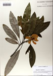 000064175-thumbnail.jpg
