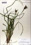 000064177-thumbnail.jpg