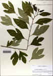 000064216-thumbnail.jpg