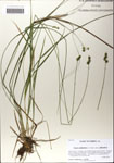 000064225-thumbnail.jpg