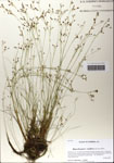 000064227-thumbnail.jpg