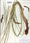 000064730-thumbnail.jpg