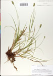 000064737-thumbnail.jpg