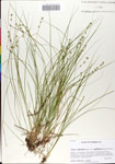 000064746-thumbnail.jpg