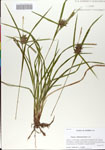 000064747-thumbnail.jpg
