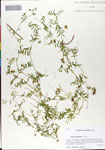 000064748-thumbnail.jpg