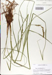 000064753-thumbnail.jpg