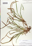 000064758-thumbnail.jpg