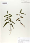 000064761-thumbnail.jpg