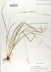 000064810-thumbnail.jpg