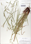 000064815-thumbnail.jpg