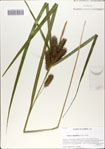 000064832-thumbnail.jpg