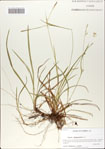 000064859-thumbnail.jpg