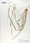 000064927-thumbnail.jpg