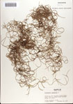 000065367-thumbnail.jpg