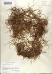 000065368-thumbnail.jpg