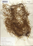 000065369-thumbnail.jpg