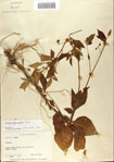 000065640-thumbnail.jpg