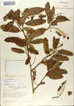 000065669-thumbnail.jpg
