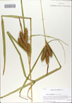 000065674-thumbnail.jpg