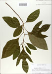 000065681-thumbnail.jpg