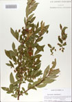 000065686-thumbnail.jpg