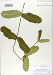 000065687-thumbnail.jpg
