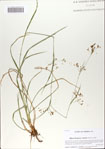 000065695-thumbnail.jpg