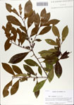 000065713-thumbnail.jpg