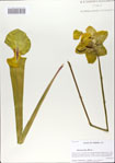 000065714-thumbnail.jpg
