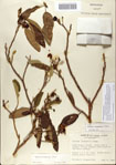 000065742-thumbnail.jpg