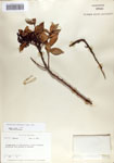 000065761-thumbnail.jpg